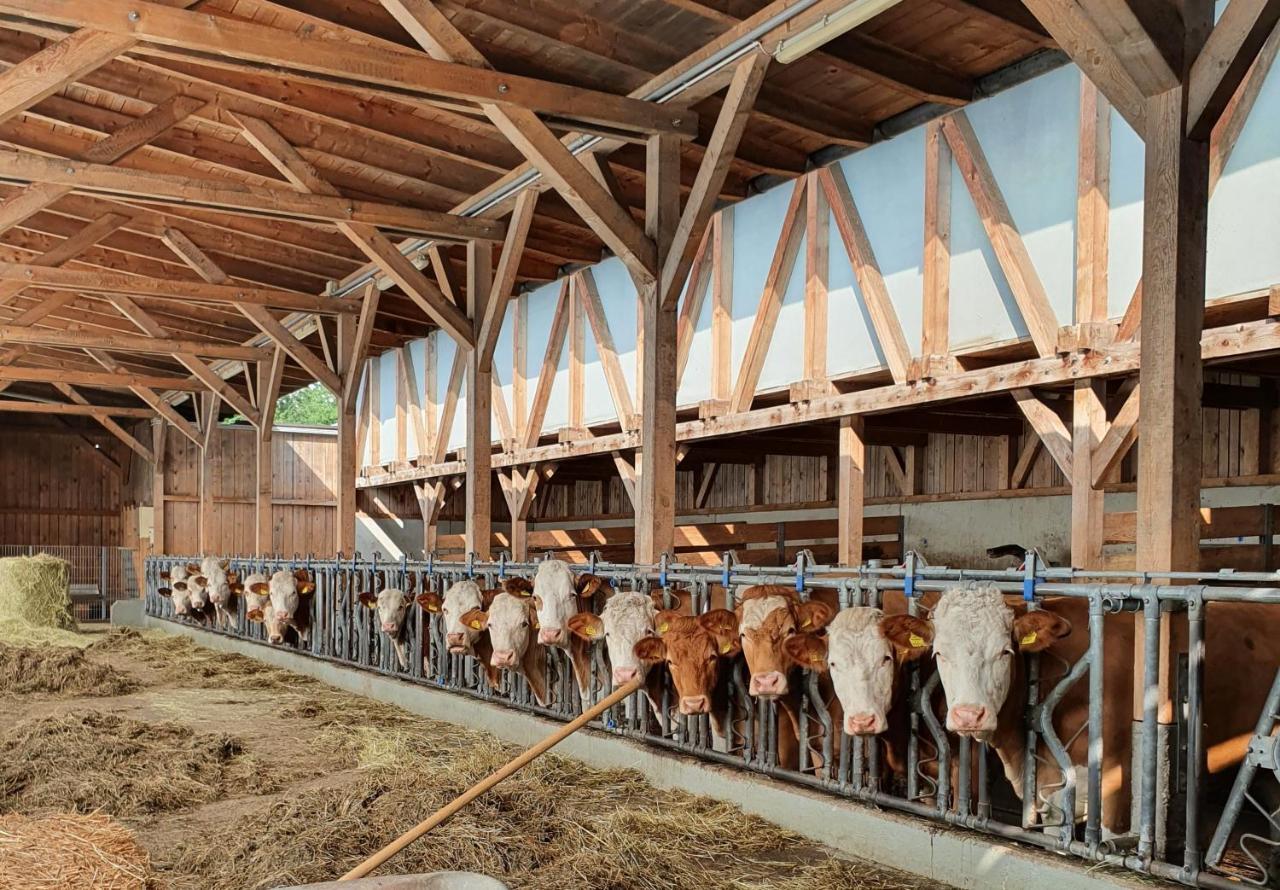 Ferienhof Leopold In Der Grub Ort im Innkreis Esterno foto